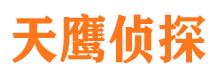 梅里斯市婚外情调查